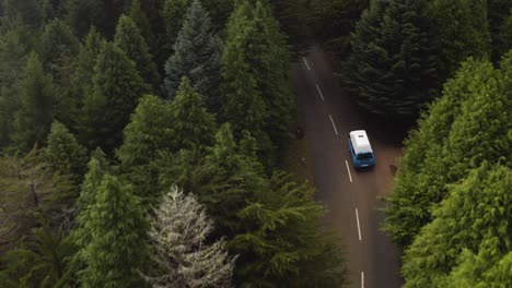 aerial follows a vw-camper van that drives into the forest and disappears in the fog