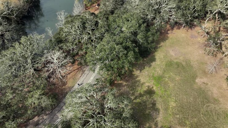 вид с воздуха на парк аудибон в новом орлеане