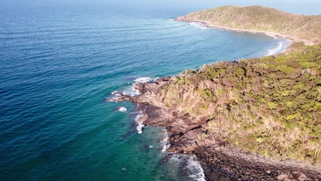 rugged shore with dense forest in noosa national park, queensland, australia