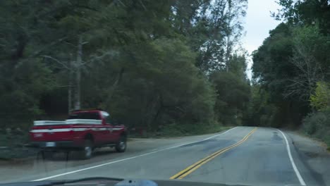 un camino en el bosque mientras viajamos