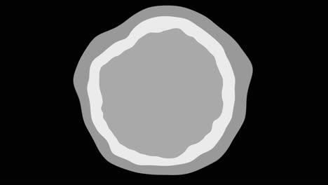 gray oval shape