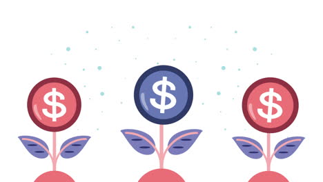 coins dollar in plants animation