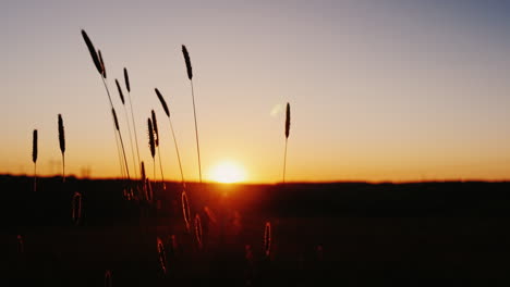 woman and girl jogging at sunset silhouetted against the setting sun