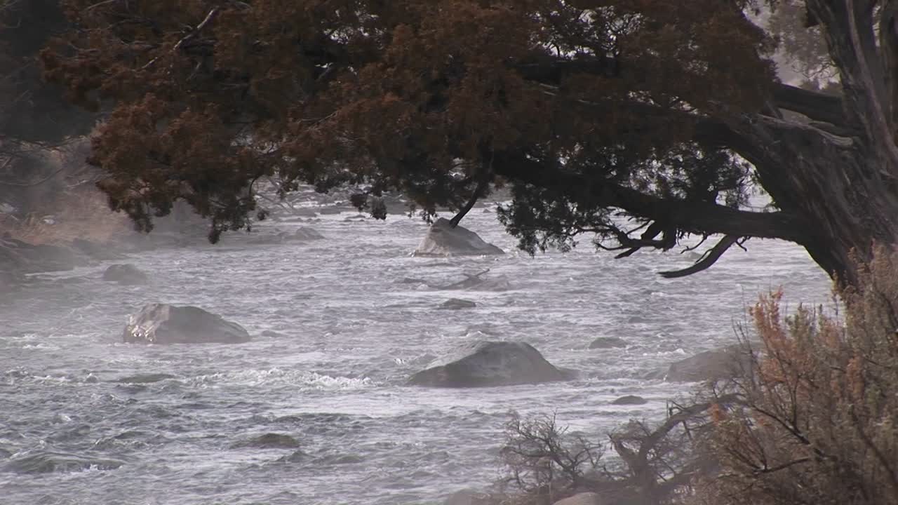 늦가을에 나뭇가지가 빠르게 흐르는 개울 위에 걸려 있다