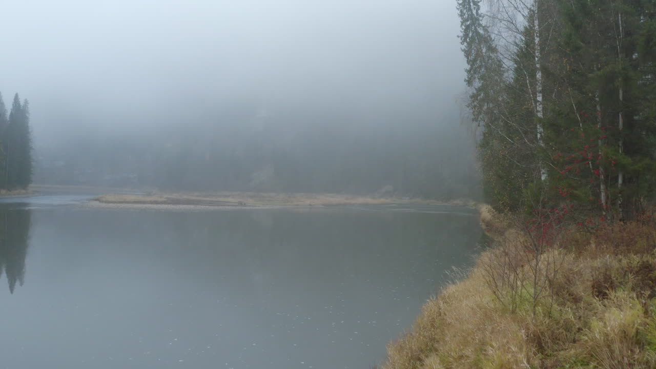 가을의 숲에서 안개가 가득한 강