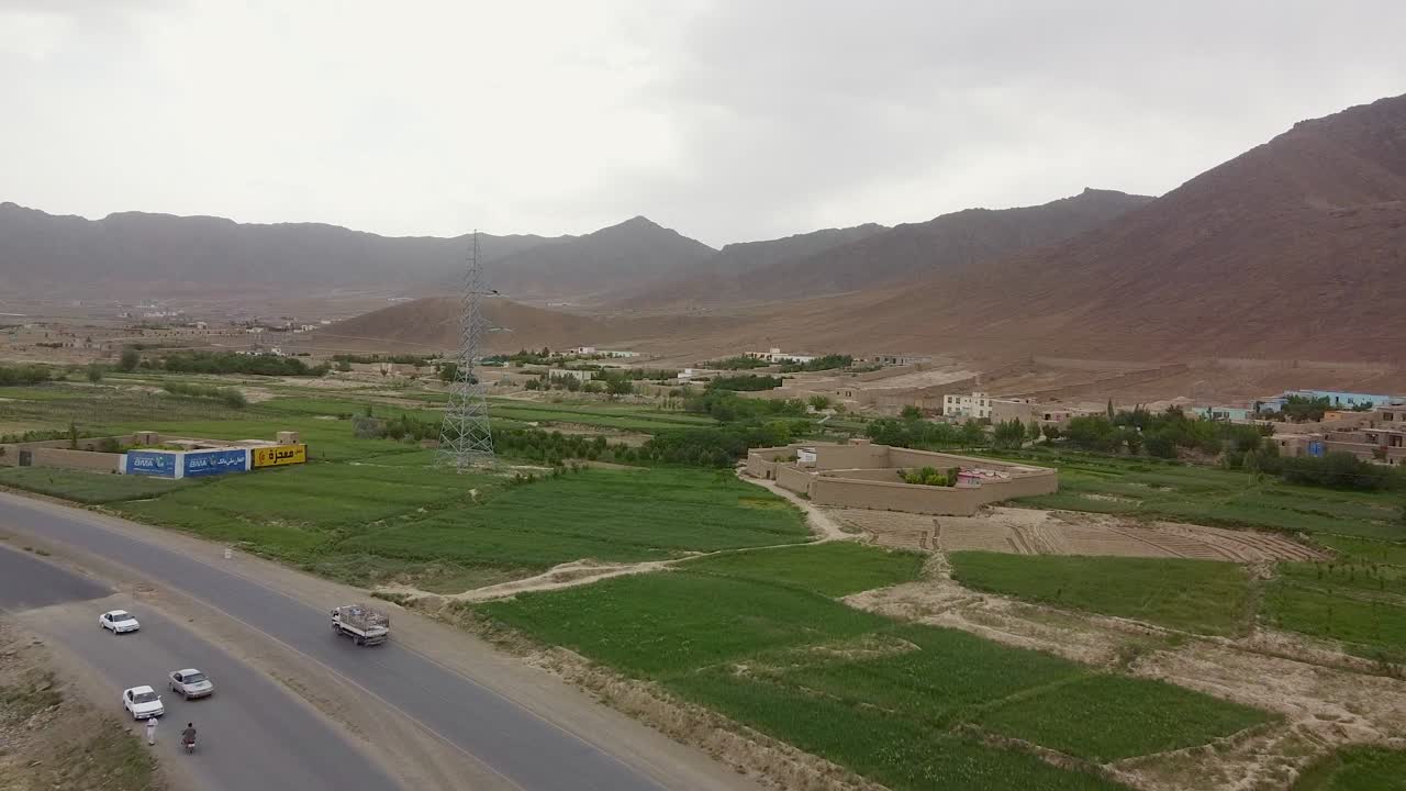 cultivo de planta 2 con mariposa