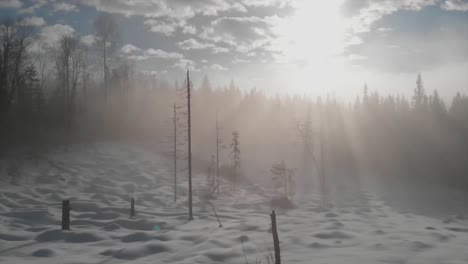 mystical winter morning