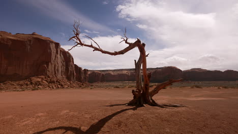 Lone-dead-tree-in-the-desert---conceptual,-alone,-death,-dry,-heat,-climate-change,-destruction,-drought,-earth-landscapes