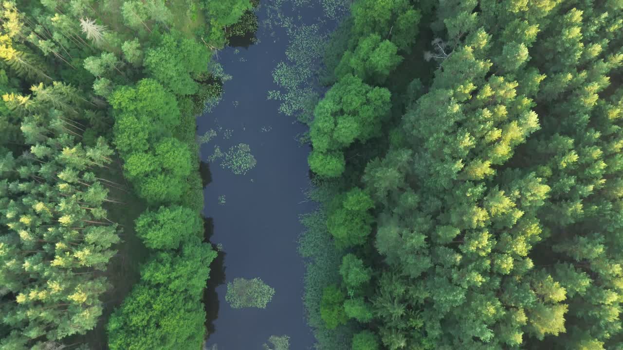 descubra el amanecer de europa desde la vista de un pájaro. el avión no tripulado se desliza sobre un lago tranquilo, un bosque exuberante y una presa de agua, ofreciendo una impresionante perspectiva al cielo.