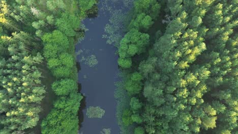 Descubra-El-Amanecer-De-Europa-A-Vista-De-Pájaro:-El-Dron-Se-Desliza-Sobre-Un-Lago-Tranquilo,-Un-Bosque-Frondoso-Y-Una-Presa-De-Agua,-Ofreciendo-Una-Perspectiva-Impresionante-Desde-Lo-Alto-Del-Cielo.