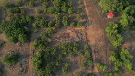 Lugar-De-Corte-De-Madera-En-El-Pueblo-Malvan-Rodaje-De-Drones