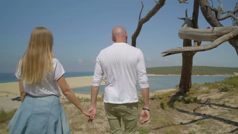 rear view of couple holding hands and walking at seaside