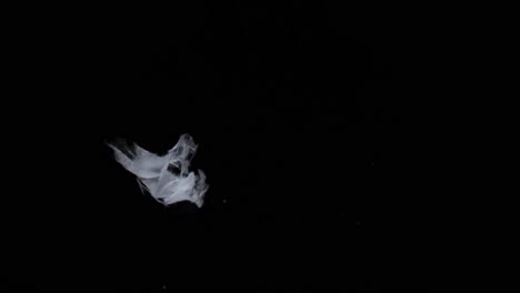 Slow-motion-stationary-shot-of-white-feathers-falling-in-a-pitch-black-background