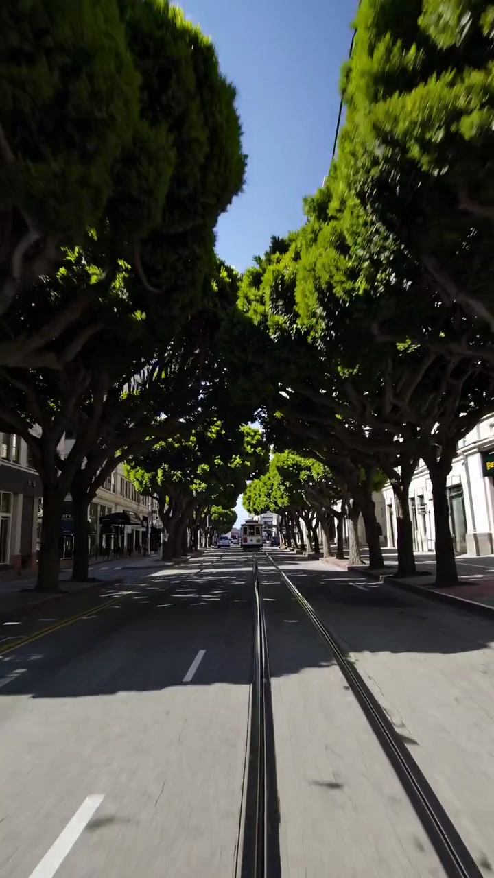 POV Shot of San Francisco Cable Car Tracks Lined with Trees