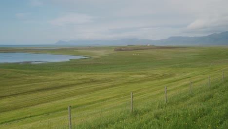 picturesque green icelandic farm field by the sea, mountains tower in the distance under a rare sunny day