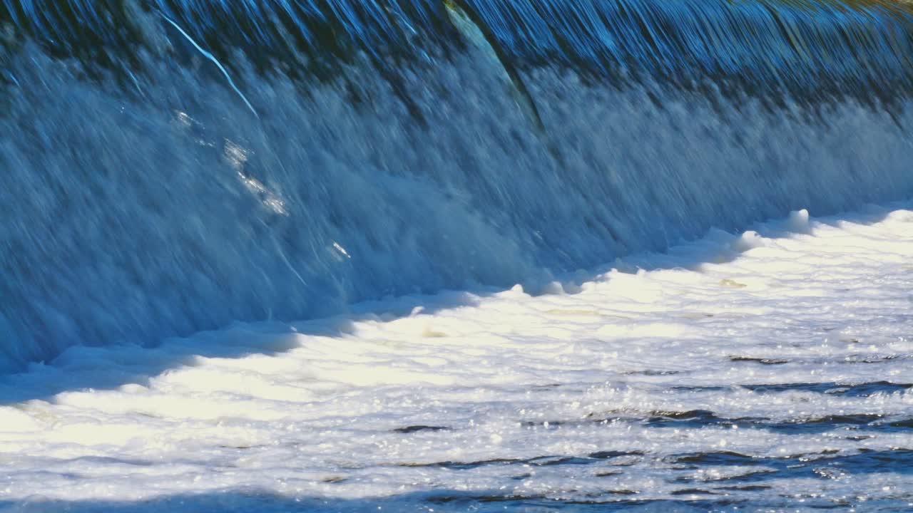 Carp Cypriniformes Leaping Upsteam River Weir. 4K Slo-Mo Footage