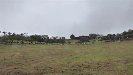 Shot-of-cemetery-and-tombstone-for-funeral-burial