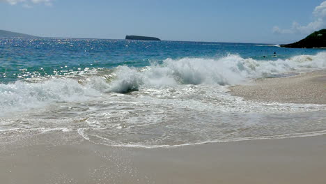 tropical beach scene with waves