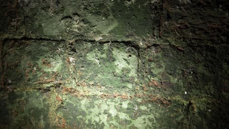 Grunge-creepy-old-green-wall-in-cellar-close-up-panning-shot