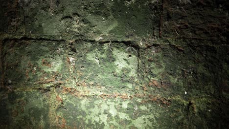 grunge, espeluznante, viejo, pared verde, en, sótano, primer plano, tiro panorámico