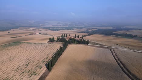 Cypress-Avenue-Increíble-Vista-Aérea-Superior-Vuelo-Mañana-Niebla-Toscana-Valle-Italia-Otoño-23