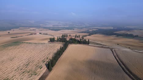 ciprés avenida increíble vista aérea superior vuelo mañana niebla valle de la toscana italia otoño 23