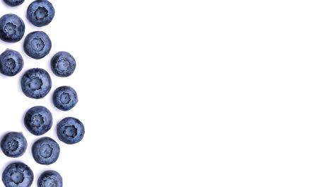 round frame of blueberries on white background