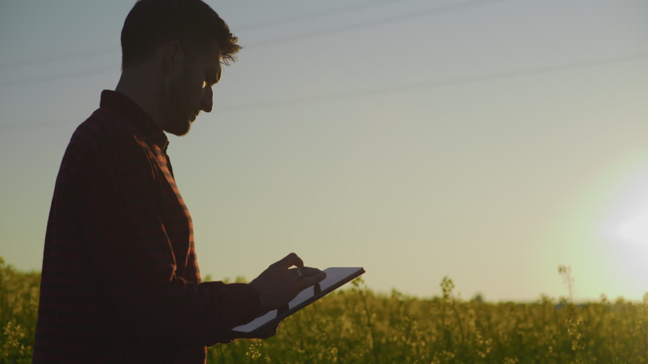 Farmer Using Digital Tablet with Sunset and Rapeseed Field