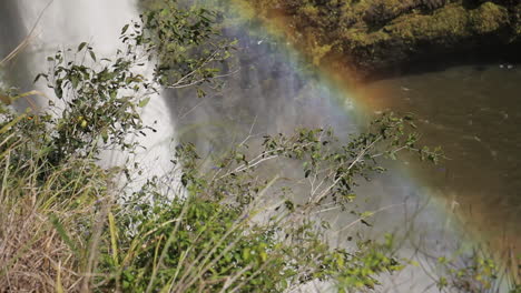 Rainbow-Forms-around-Waterfall-in-Forest-Surrounded-by-Green-Bushes