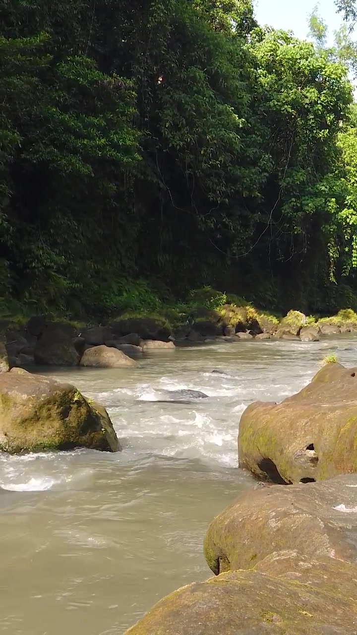 Vista verticale: Fiume di pietra naturale, flusso d'acqua, valle della foresta pluviale, Ubud, Bali, Indonesia
