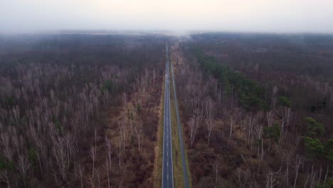 straight road crossing a forest in winter with fog. stunning aerial view flight fly reverse drone