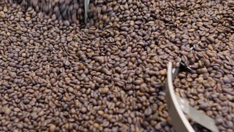 explore the intricate process of coffee bean preparation from farm to cup in this insightful .