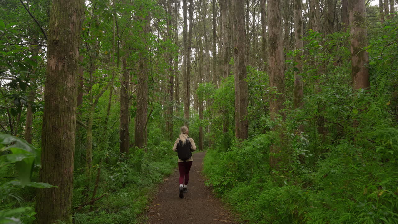 revelan una foto de una mujer caminando por un camino natural en el bosque de nueva zelanda