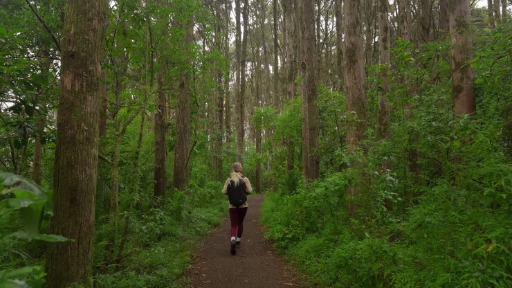 Reveal shot of woman hiking on natural forest path in New Zealand