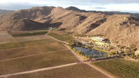 vista aérea de un viñedo con lago en valle de guadalupe, baja california