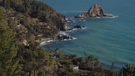 hermosa playa escondida con árboles altos y costa rocosa, italia