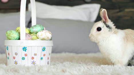 side view of easter bunny and basket of easter eggs