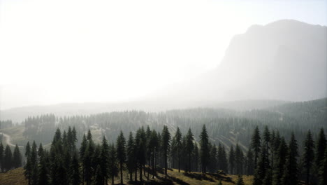 majestic-mountains-with-forest-foreground-in-Canada