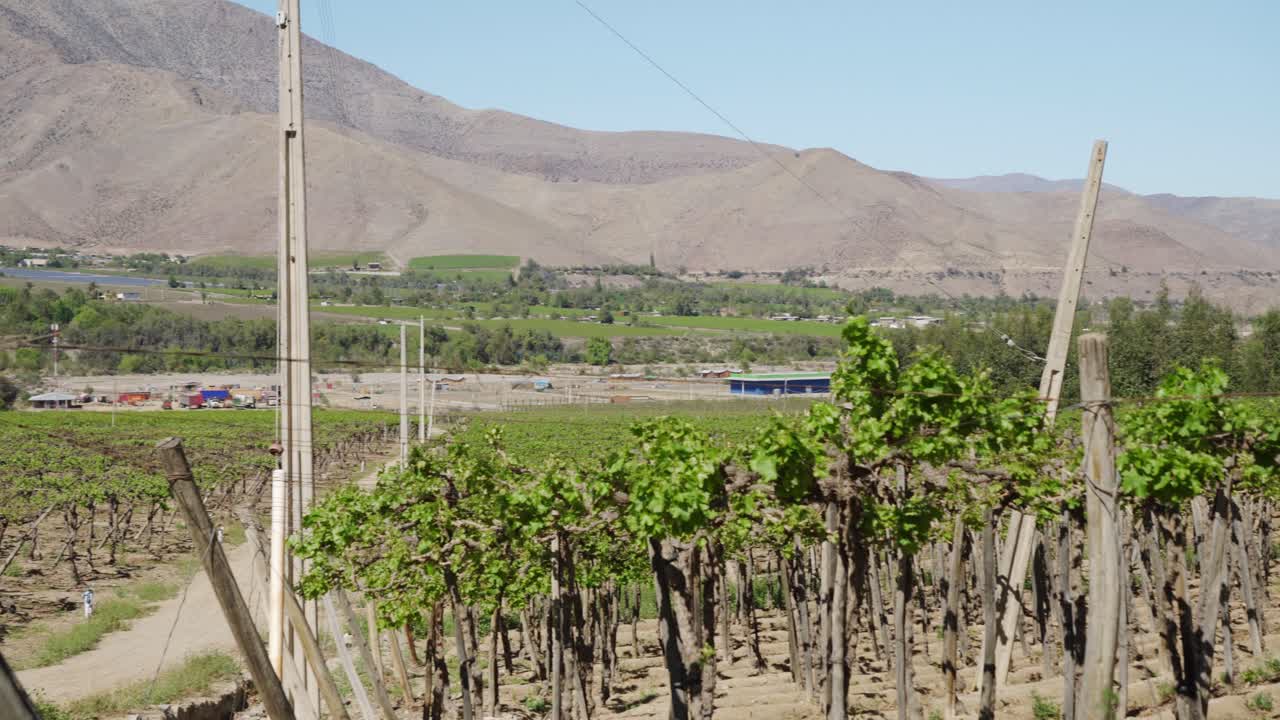 Campos cultivados en el Valle del Elqui con la Cordillera de los Andes en Coquimbo, Chile