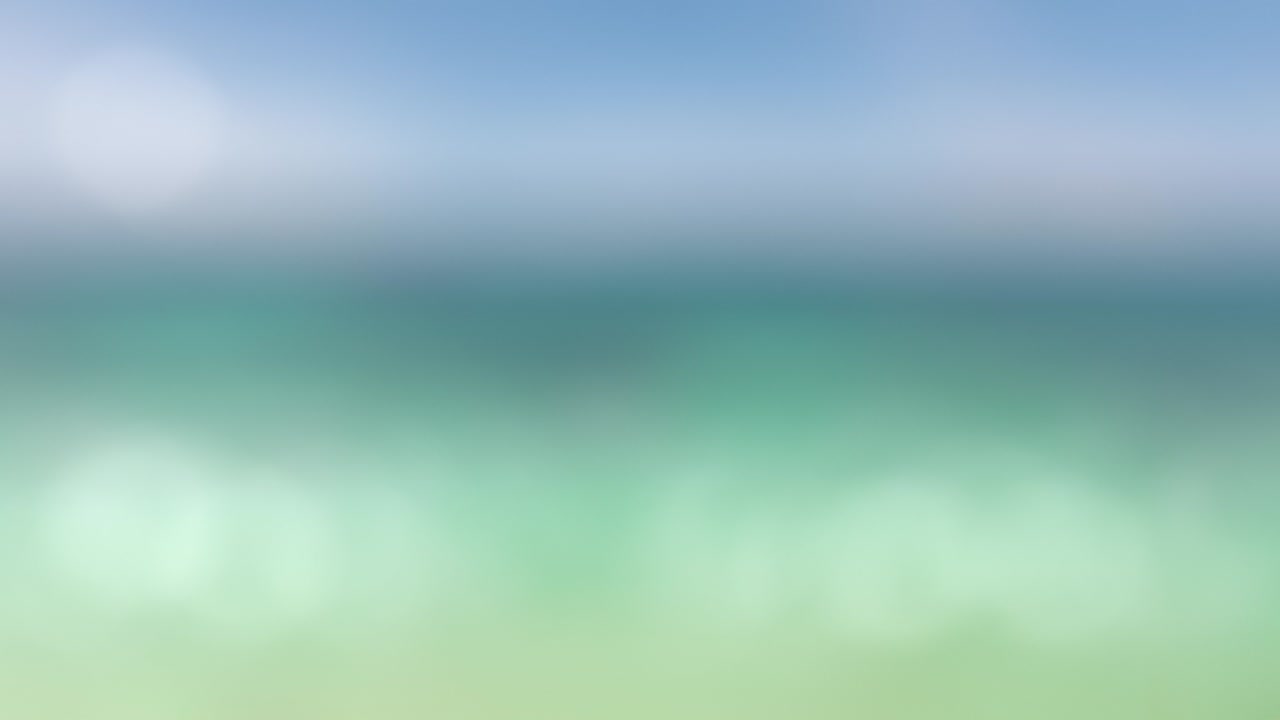 해변 배경에서 만다린과 슬라이스의 비행