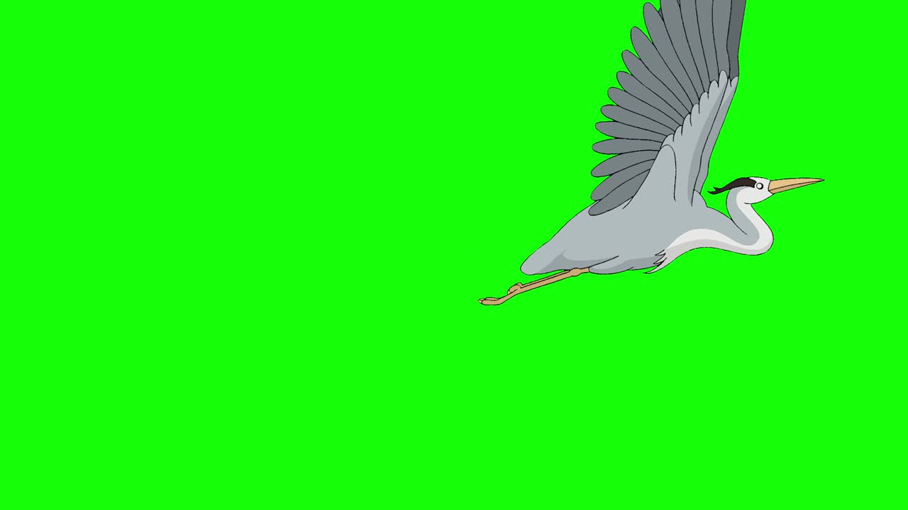 la garza vuela la llave de croma