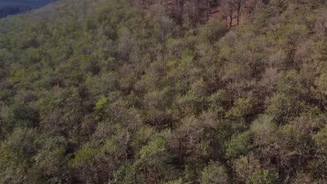 Über-Einen-Wald-Fliegen-Herbstansicht-Der-Naturlandschaft-Wyoming-Naturwald-Auf-Dem-Land-Naturtourismus-Abenteuer-Iran-Ländliche-Landschaft-Hütte-Hütte-Hütte-Im-Dorf-Leben-Friedliches-Reisen-Fokus-Geist