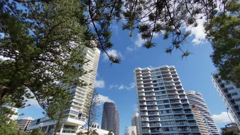 high rise hotels and pine trees with clouds moving through he sky, gold coast, queensland, australia