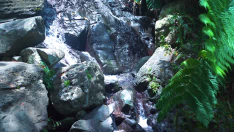 waterfall flowing down rocks in forest with ferns