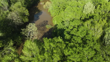 Paisaje-Boscoso-En-El-Río-Wolf-Cerca-De-Collierville-En-El-Condado-De-Shelby,-Tennessee,-EE.UU.