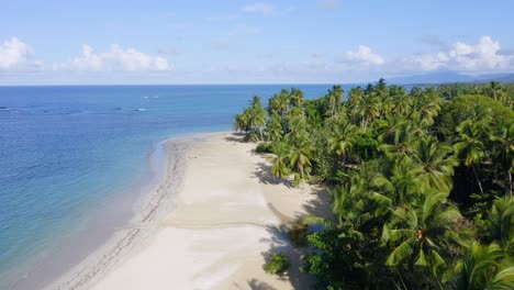 idílica playa tropical de arena blanca con palmeras, costa caribeña