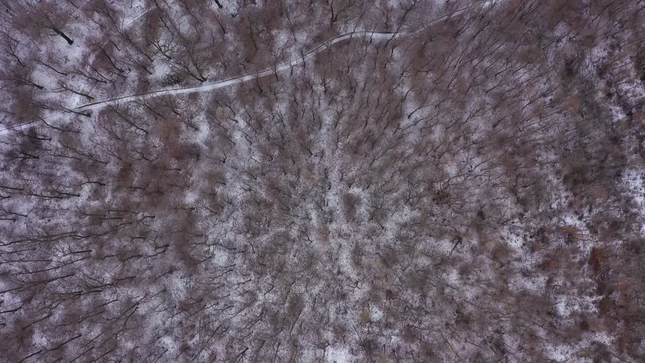 겨울에 눈 덮인 숲 위에 공중 영상