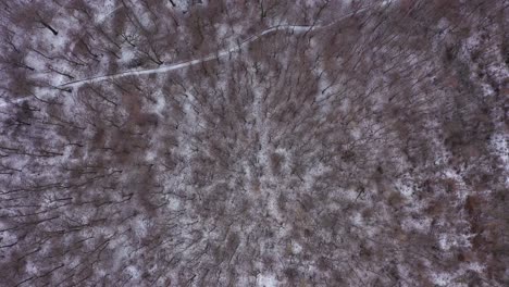 imágenes aéreas sobre los bosques nevados en invierno