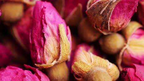 brotes de rosas rosadas secos