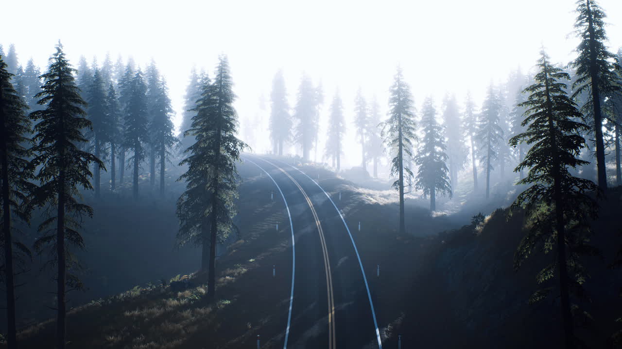 Misty forest landscape with railway tracks winding through tall trees
